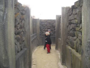 hamnermaze4325.jpg