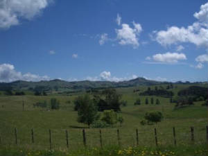 imgp3849.jpg
