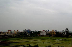 imgp6303.jpg