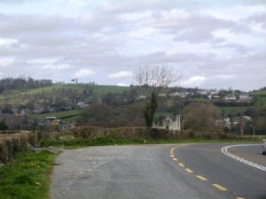 imgp8332.2d.jpg