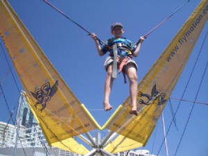 liamharness.site.jpg