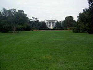 pict2036.jpg