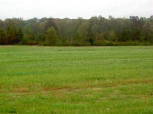 pict2140.jpg