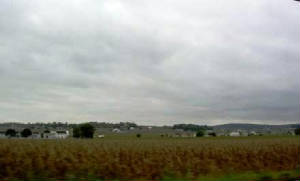pict2225.jpg