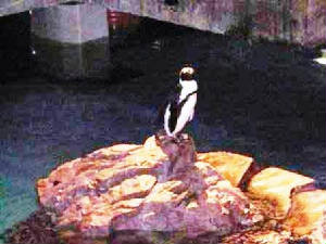 pict2289.jpg