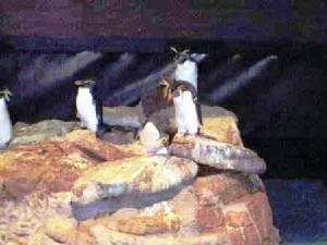 pict2292.jpg